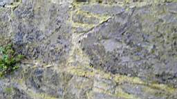 acastle 105650.jpg